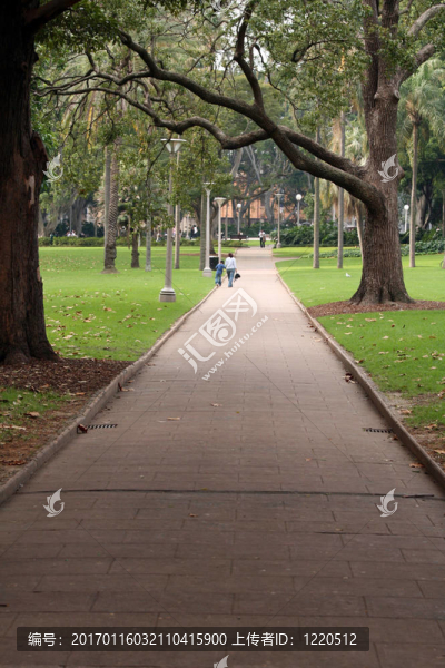 走道-海德公園；悉尼；澳大利亞