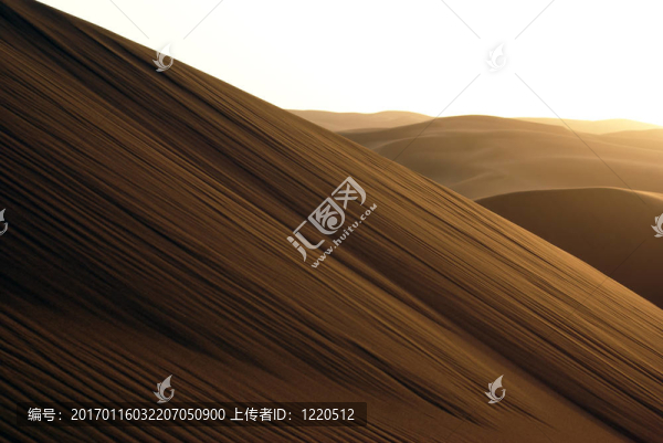 大砂