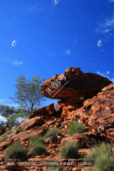watarrka國家公園；澳大利亞金斯坎寧；
