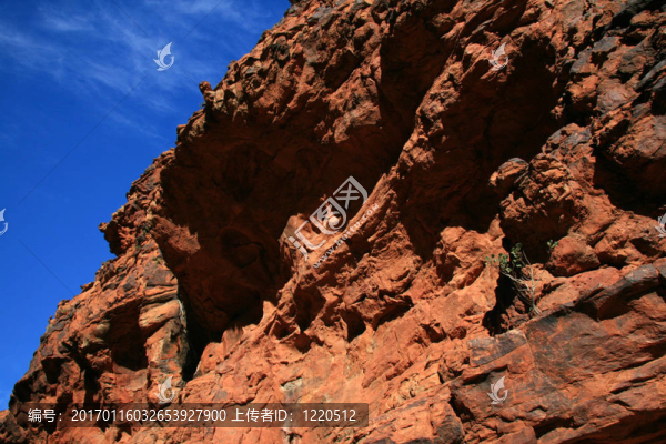 watarrka國家公園；澳大利亞金斯坎寧；