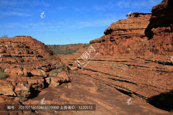 watarrka國家公園；澳大利亞金斯坎寧；