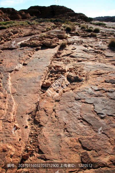 watarrka國家公園；澳大利亞金斯坎寧；