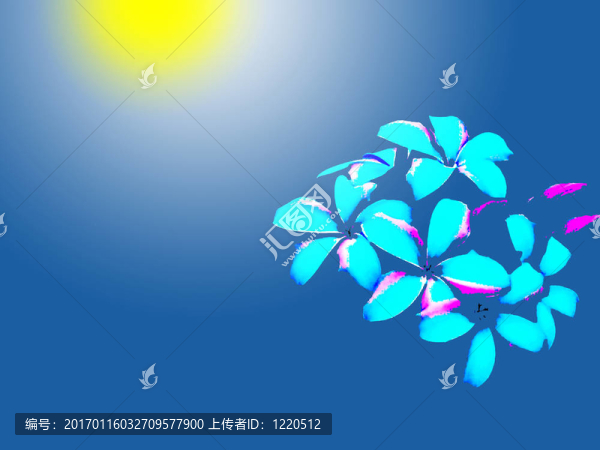 月亮和花
