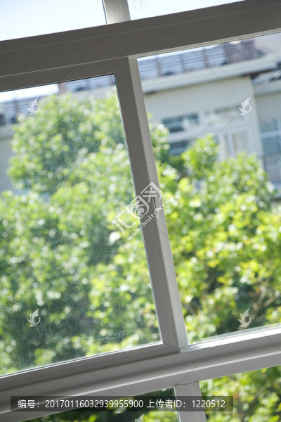 窗口
