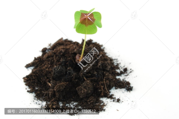 植物在地球-匯圖網(wǎng) www.fosd68.com 植物在地球