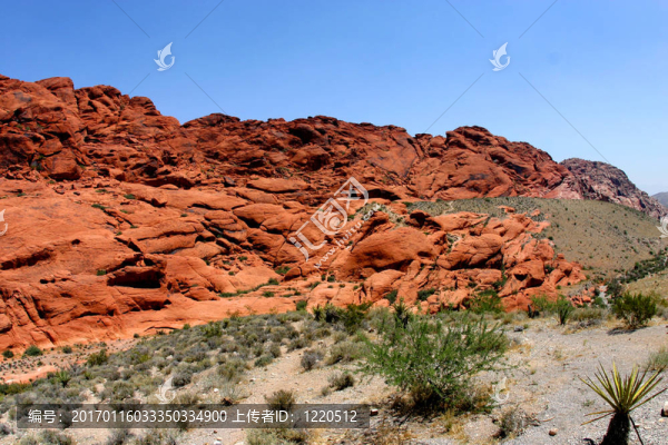 紅色的巖石保存