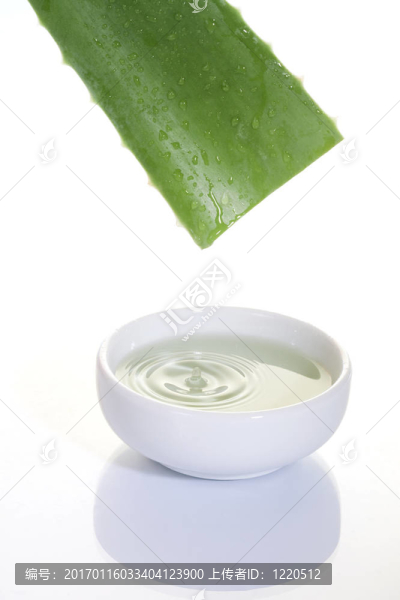 蘆薈