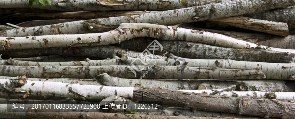 woodstack背景