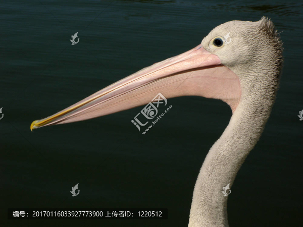 鵜鶘-韋蘭德拉湖國家公園；聯(lián)合國教科文組織；澳大利亞