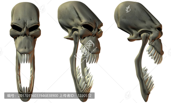 3D奇幻的頭骨-匯圖網(wǎng) www.fosd68.com 3D奇幻的頭骨
