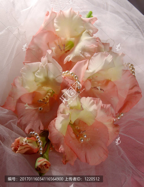 婚禮花束的唐菖蒲