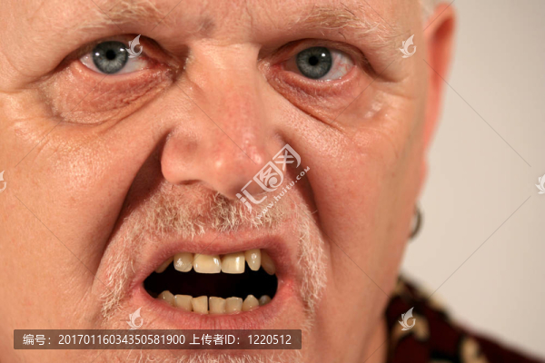 成熟紳士的肖像