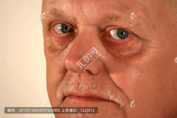 成熟紳士的肖像