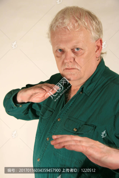成熟紳士的肖像