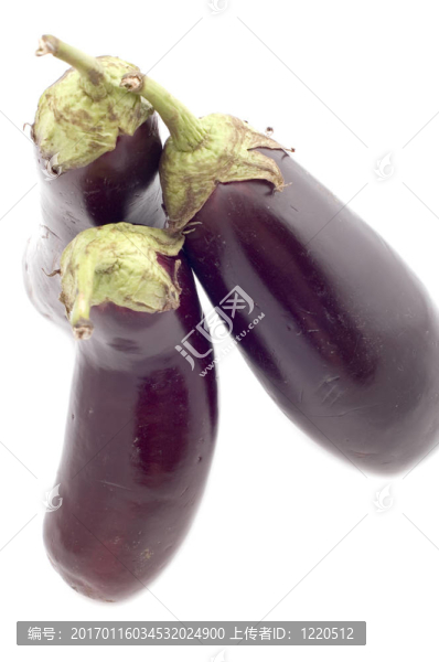 茄子的宏