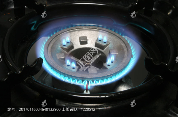 燃?xì)鉅t-匯圖網(wǎng) www.fosd68.com 燃?xì)鉅t