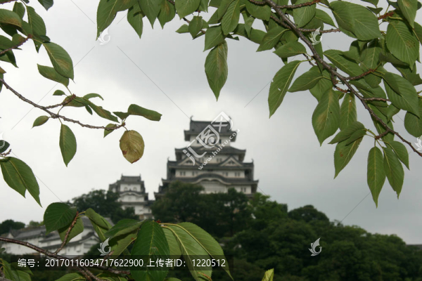 姬路城；日本
