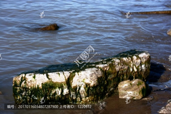 長滿青苔的石頭