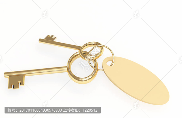 帶有標(biāo)簽的兩個(gè)3D金色鑰匙