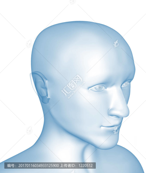 透明3D頭的人-,X射線
