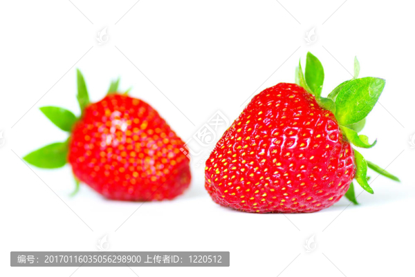 草莓-匯圖網(wǎng) www.fosd68.com 草莓