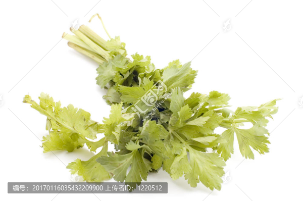 芹菜
