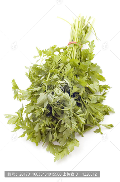 西芹