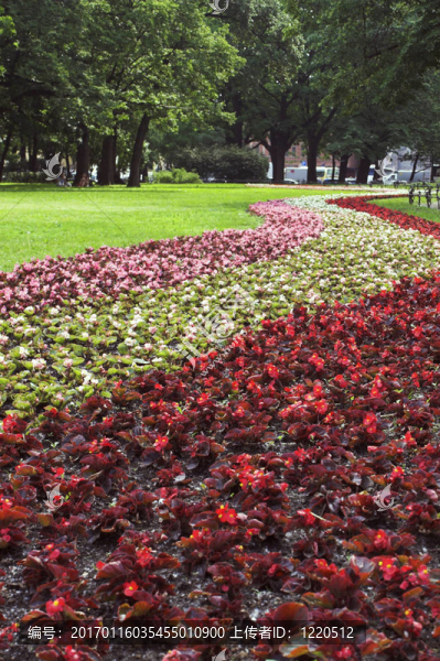 夏季公園-,1,-一個(gè)草坪