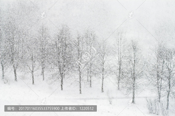 強(qiáng)降雪的城市