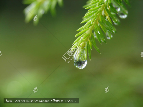 雨滴