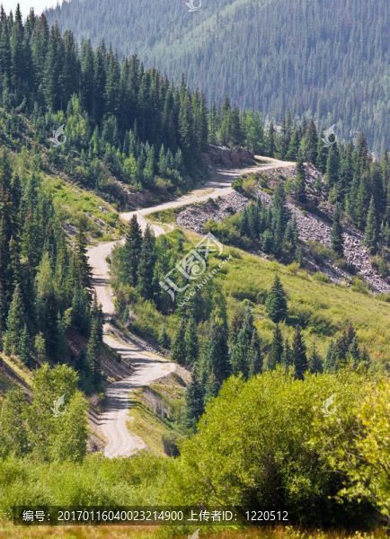 山路