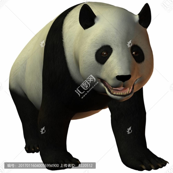 卡通熊貓