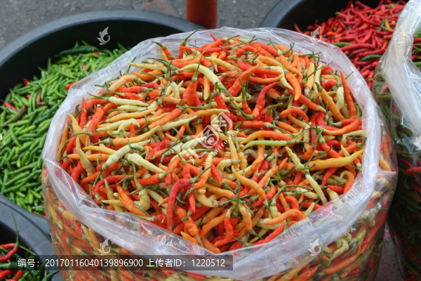 鳥(niǎo)眼辣椒-匯圖網(wǎng) www.fosd68.com 鳥(niǎo)眼辣椒