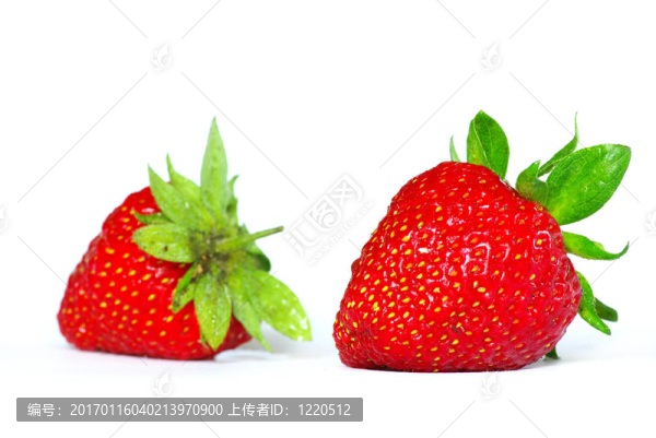 草莓