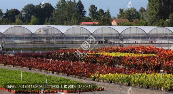 溫室花園