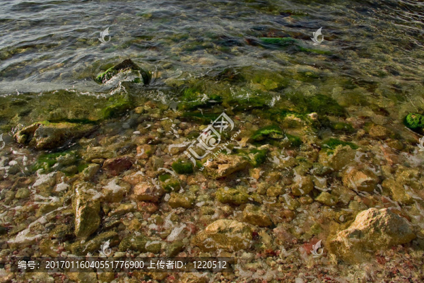 海灘