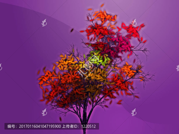 秋天的葉子的樹