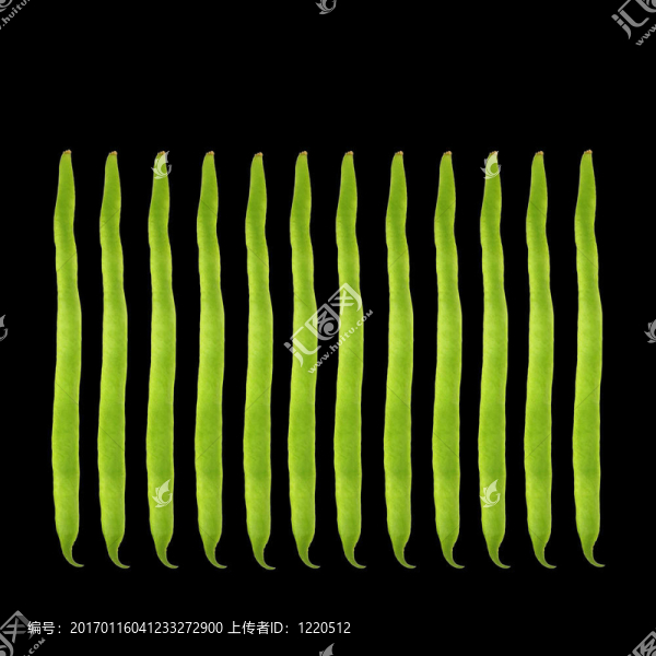 菜豆的設(shè)計(jì)
