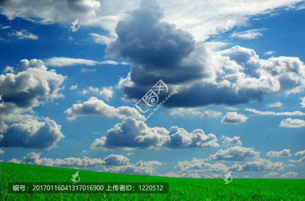 景觀