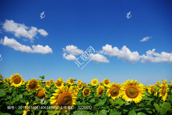 領(lǐng)域-匯圖網(wǎng) www.fosd68.com 領(lǐng)域