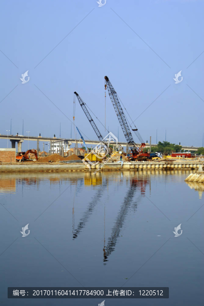 河上的鶴-匯圖網(wǎng) www.fosd68.com 河上的鶴