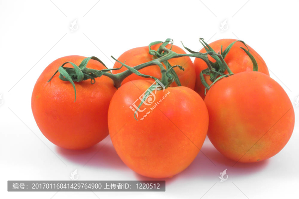 西紅柿