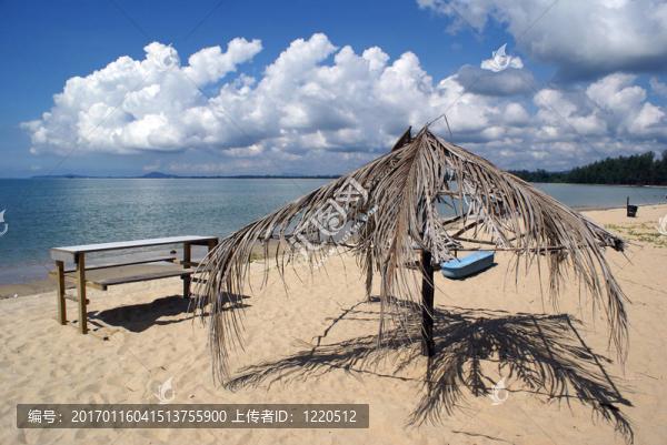 表珍拉丁海灘上