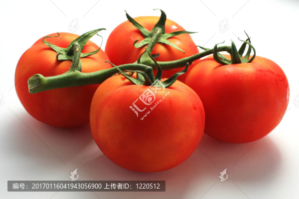 鮮紅色的西紅柿