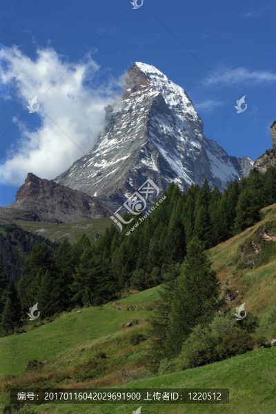 馬特-匯圖網(wǎng) www.fosd68.com 馬特