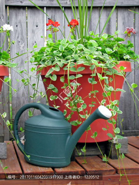 噴壺-匯圖網(wǎng) www.fosd68.com 噴壺