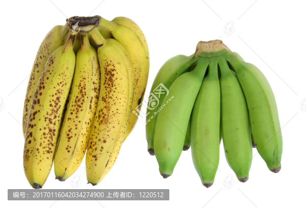 香蕉