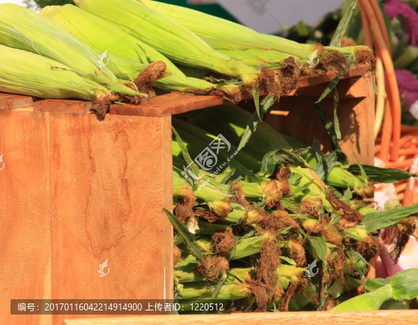 農(nóng)貿(mào)市場玉米