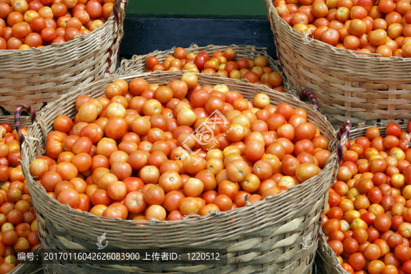 籃子里的番茄