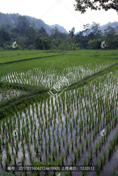 排-匯圖網(wǎng) www.fosd68.com 排
